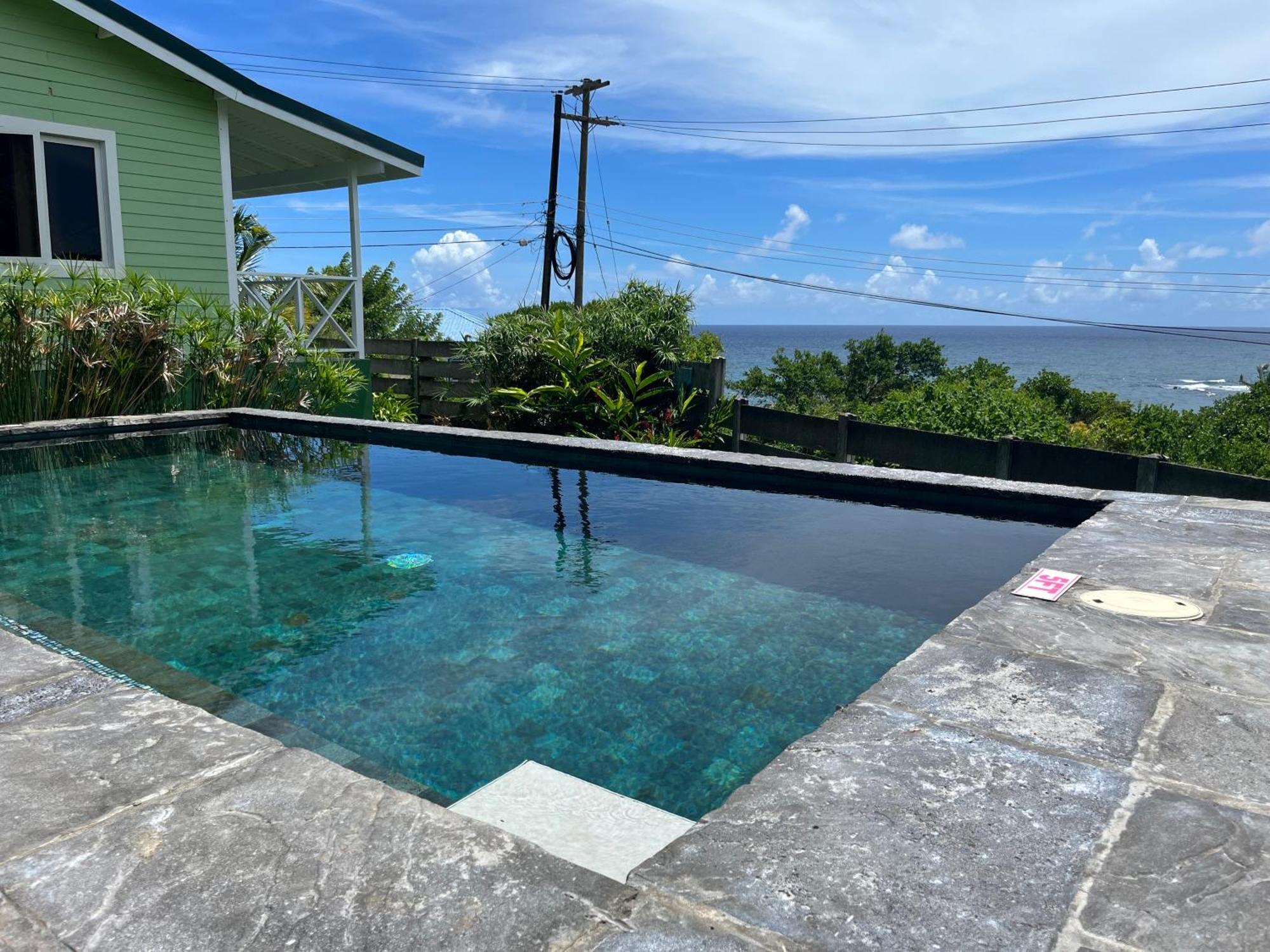 Studio Blu At Waves Villa Guesthouse Brighton Village 외부 사진